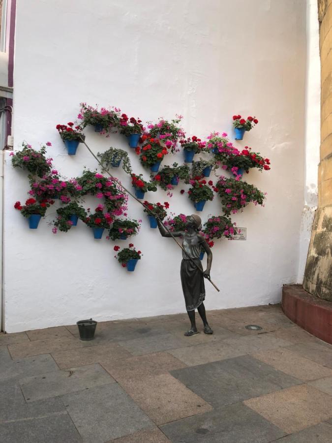 La Regaora Apartment *